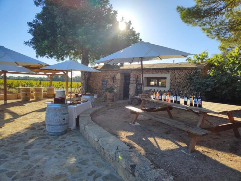 llucmajor-bodegas-bordoy-wine-tour