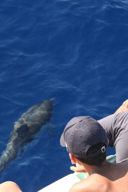 loano-pelagos-sanctuary-wildlife-cruise-with-guide