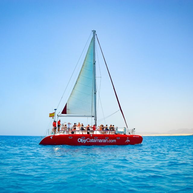 Lobos Island: 4-Hour Catamaran Trip with Lunch - What to Expect from the Lobos Island Catamaran Trip