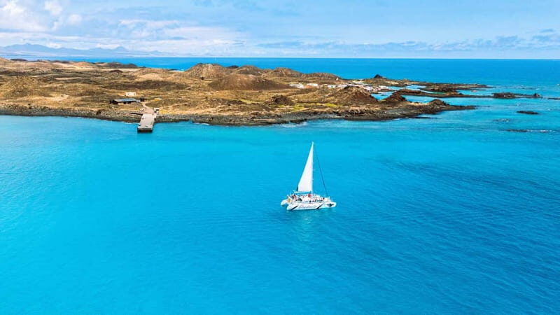 Lobos Island: 4-Hour Catamaran Trip with Lunch - Who Would Love This Tour?