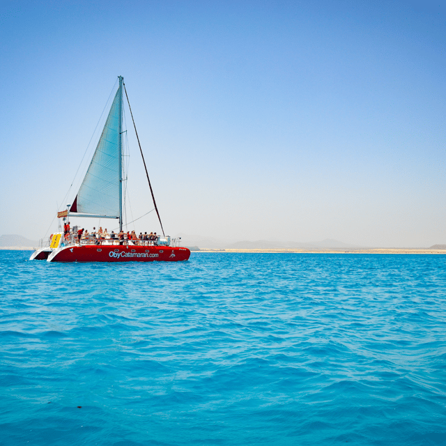 lobos-island-4-hour-catamaran-trip-with-lunch