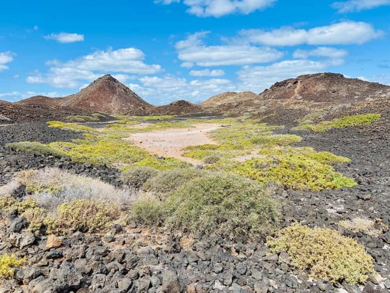 Lobos Island, Popcorn Beach, & Dunes Tour - FAQs