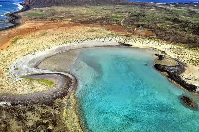 lobos-island-the-dolphin-route