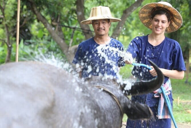 Local Farming Experience in Chiang Mai, Thailand - Key Points