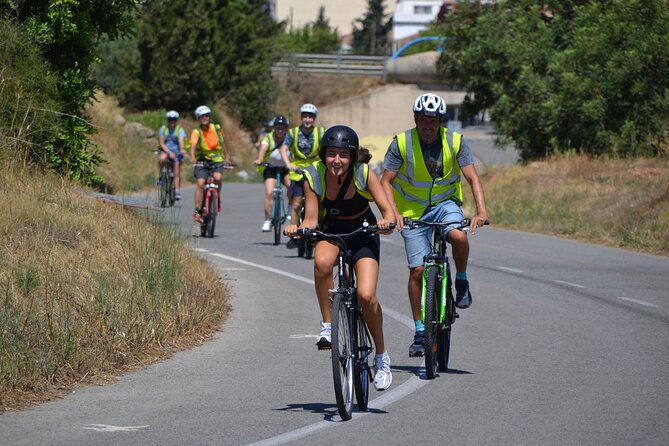 local-flavors-half-day-bike-tour-with-olive-oil-tasting
