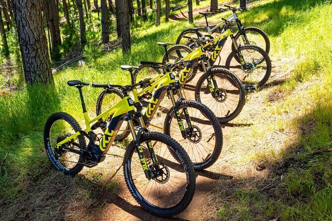 Local Gems 3 Hour MTB Small Group Tour - Final Thoughts