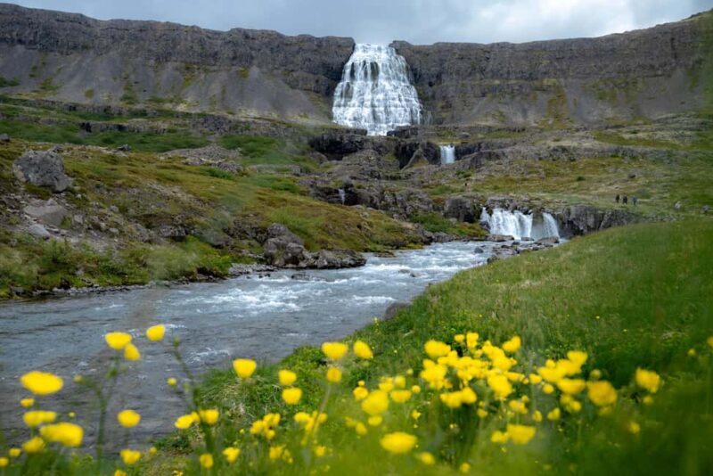 Local Guide Private Tour from Ísafjörður-Flexible Itinerary - An In-Depth Look at the Westfjords Private Tour