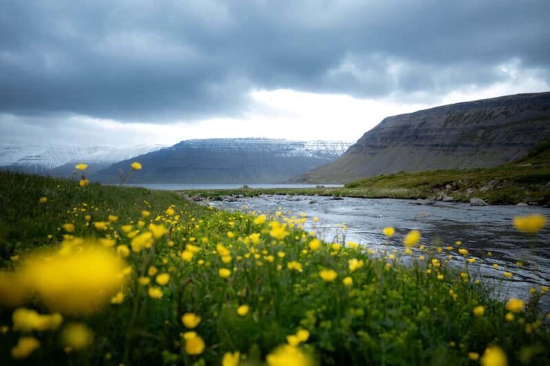 Local Guide Private Tour from Ísafjörður-Flexible Itinerary - Practical Details and Value
