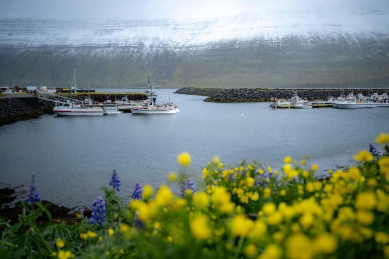 Local Guide Private Tour from Ísafjörður-Flexible Itinerary - Final Thoughts: Who Will Love This Tour?
