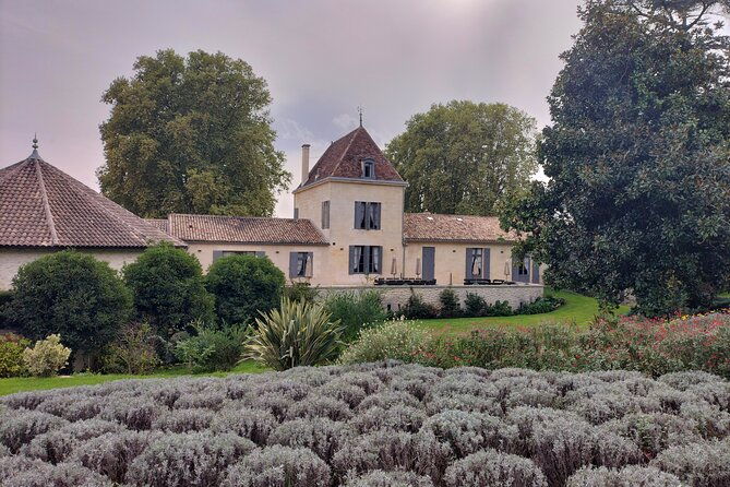 local-guide-wine-expert-private-tour
