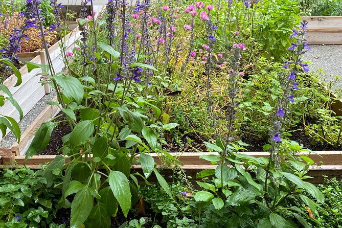 local-honey-to-table-tasting-and-lunch-experience