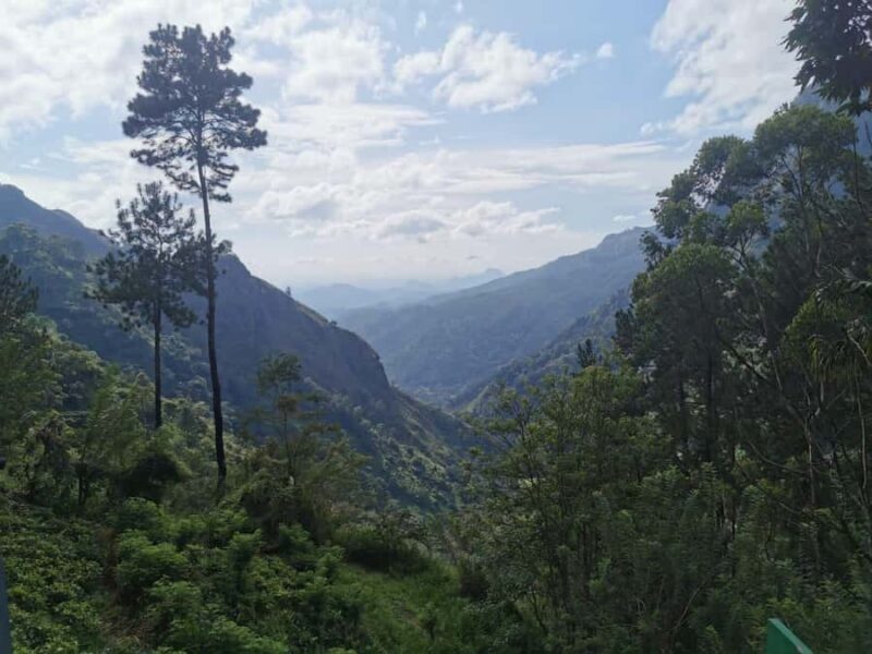 Local Life, Food & Nature Around Kandy by Tuk-Tuk - Exploring Kandy Like a Local: A Guide to the Tuk-Tuk Experience