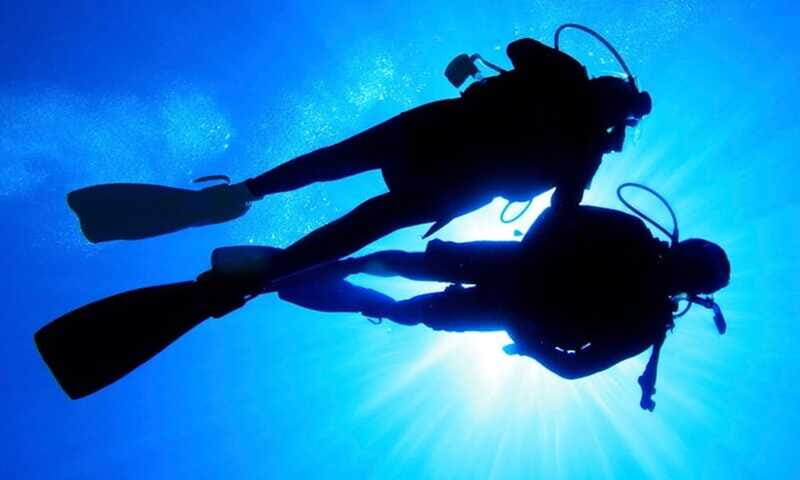 local scuba night dive - What to Expect During the Dive
