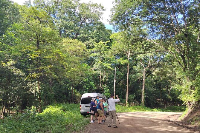 local-sightseeing-mangrove-tour