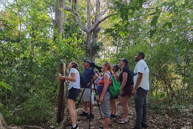 local-sightseeing-mangrove-tour