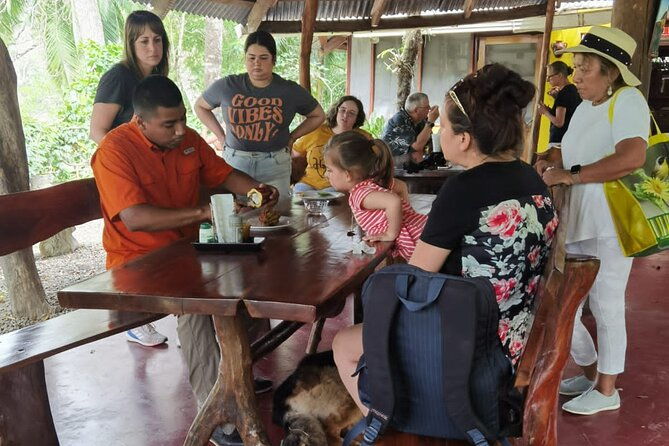 local-sightseeing-mangrove-tour
