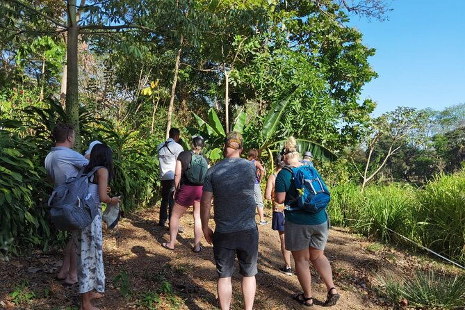local-sightseeing-mangrove-tour