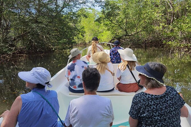 local-sightseeing-mangrove-tour