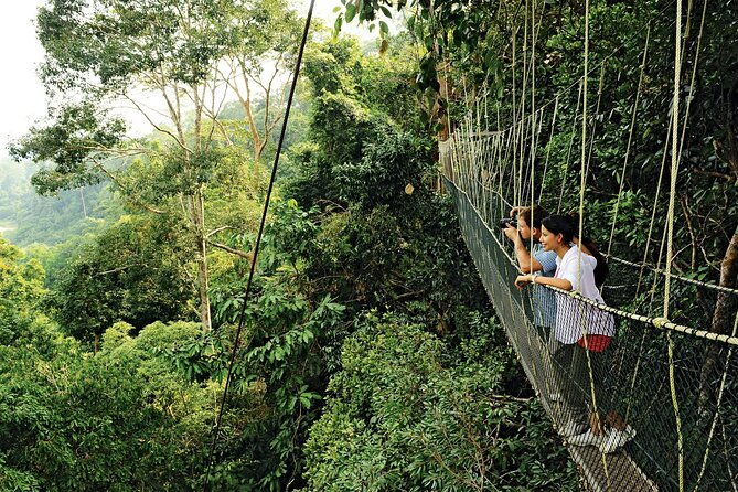 locally-guided-tambopata-amazon-jungle-tour-4-days