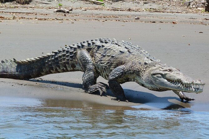 locally-guided-tambopata-amazon-jungle-tour-4-days