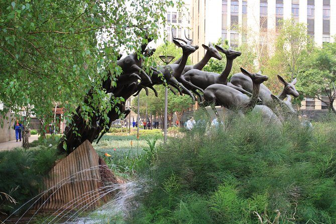 LocalPlaces Understanding Johannesburg Walking Tour - Authentic Insights from Reviewers