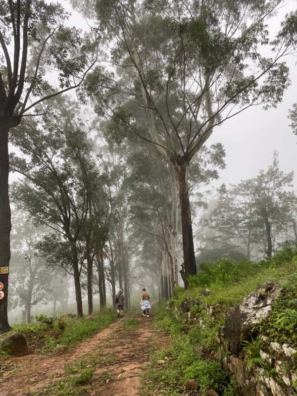 LOCATION: Hanthana to Galaha Pekoe Trail Stage 01 Trek - Similar Experiences