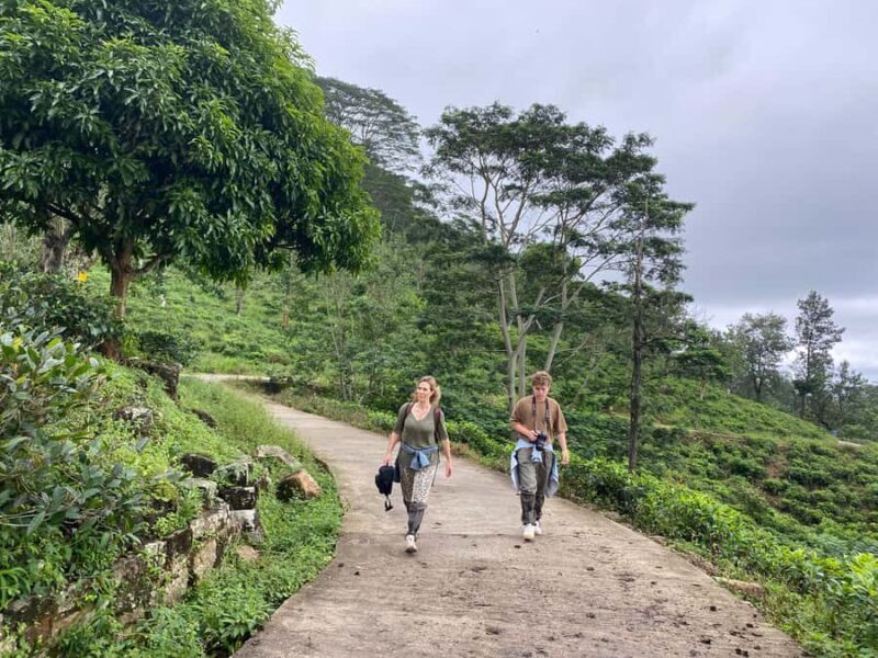 LOCATION: Hanthana to Galaha Pekoe Trail Stage 01 Trek - Final Thoughts