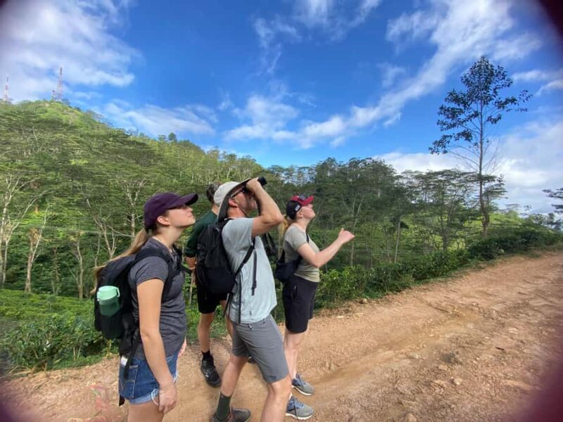 LOCATION: Hanthana to Galaha Pekoe Trail Stage 01 Trek - FAQ