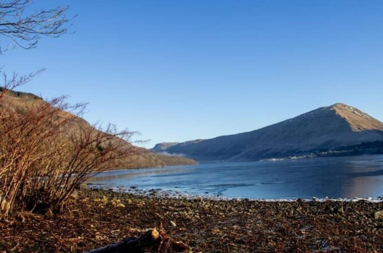 loch-lomond-highland-cows-victorian-town-half-day-tour