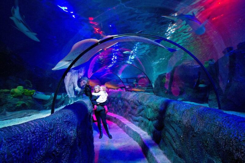 loch-lomond-sea-life-entrance-ticket