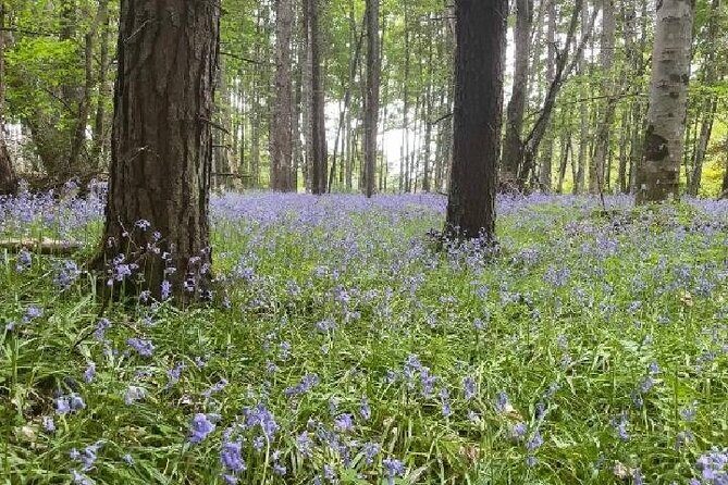 Loch Ness, Culloden, Clava and whisky/gin tour from Inverness. - Final Highlights: Why This Tour Works