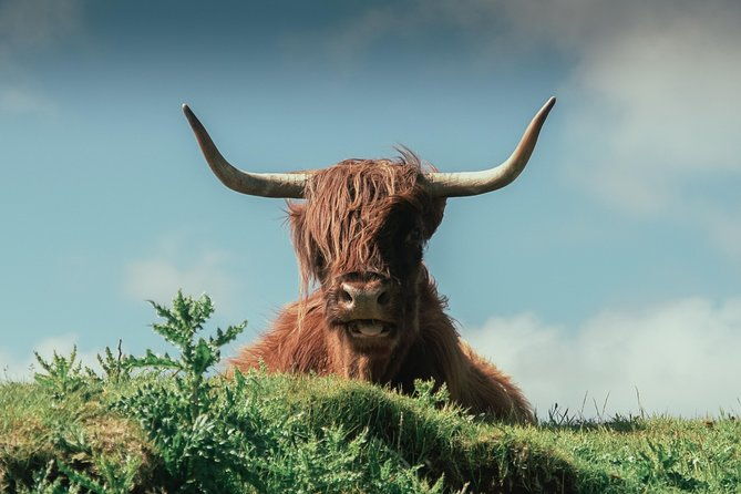 loch-ness-glen-coe-the-highlands-day-tour-from-edinburgh