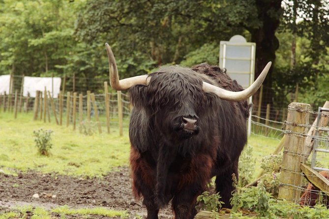 loch-ness-glencoe-and-the-scottish-highlands-tour-from-edinburgh