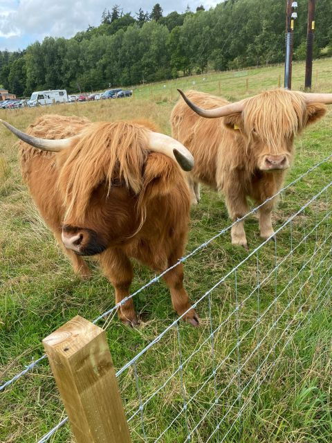 loch-ness-inverness-clava-cairns-more-from-invergordon