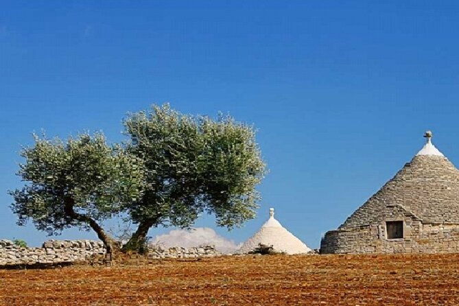 locorotondo-alberobello-martina-franca-departing-from-taranto-4