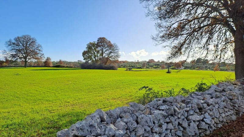 Locorotondo: E-Bike Tour to Alberobello with Ice Cream - Discovering the Valle dItria on Two Wheels  