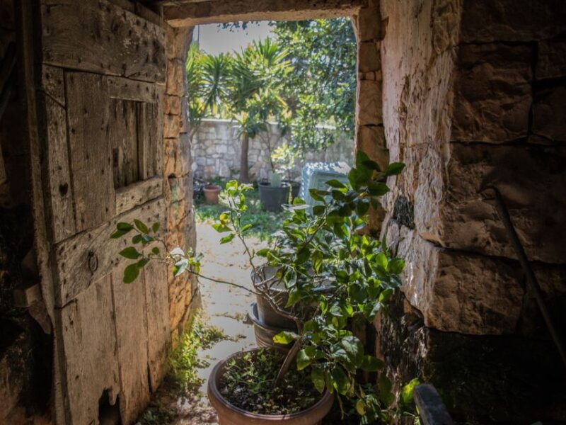 locorotondo-guided-e-bike-tour-with-olive-oil-tasting