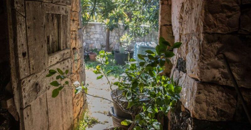 locorotondo-guided-e-bike-tour-with-olive-oil-tasting