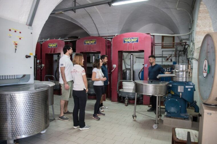 locorotondo-guided-e-bike-tour-with-olive-oil-tasting