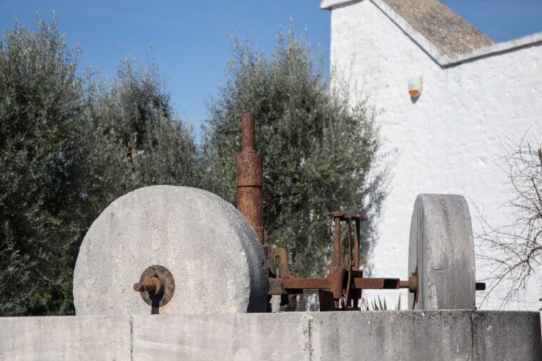locorotondo-guided-e-bike-tour-with-olive-oil-tasting