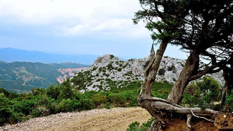 Lodè: trekking on Montalbo - Lodè: trekking on Montalbo
