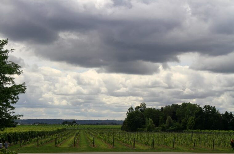 lodi-wine-tasting-tour-private-customized-1-14-group