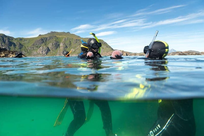 Lofoten: Family Snorkeling Tour - Practical Tips for Your Snorkeling Adventure