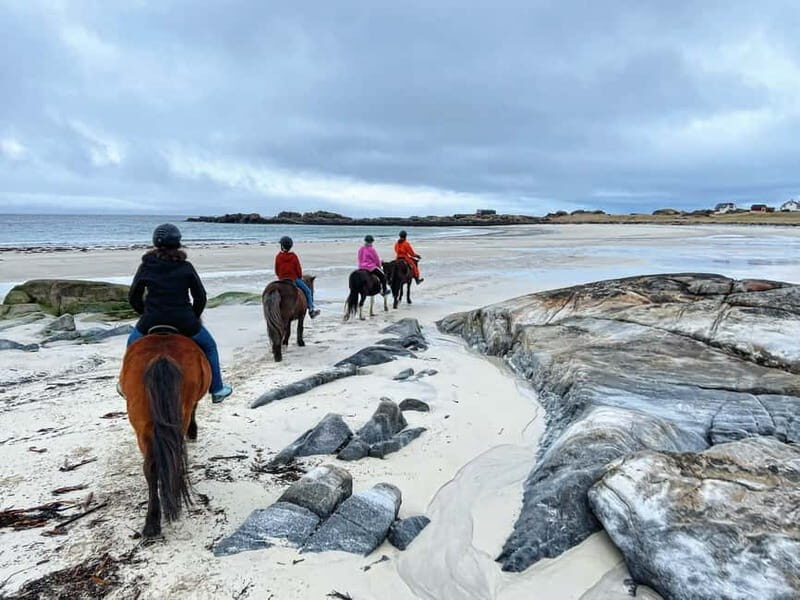 Lofoten: Guided Horse Riding Tour Over Hov and Hovsund - What Makes This Horse Riding Tour Special?