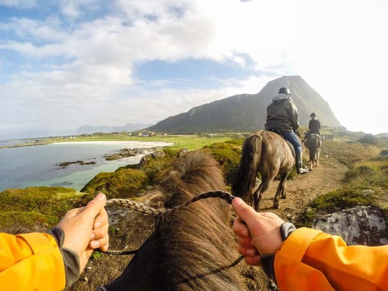 Lofoten: Guided Horse Riding Tour Over Hov and Hovsund - The Horses and the Guides