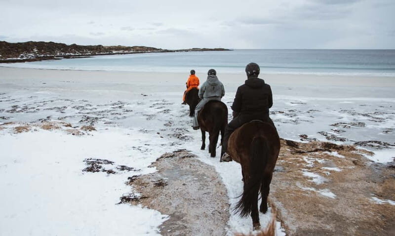 Lofoten: Guided Horse Riding Tour Over Hov and Hovsund - Authentic Reviews and Traveler Insights