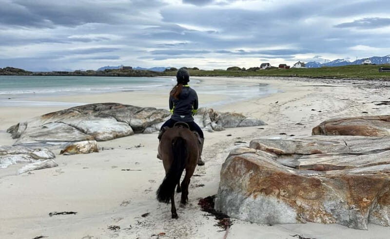 Lofoten: Guided Horse Riding Tour Over Hov and Hovsund - The Sum Up