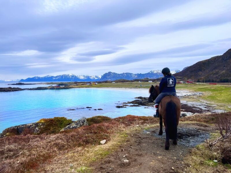 lofoten-guided-horse-riding-tour-over-hov-and-hovsund