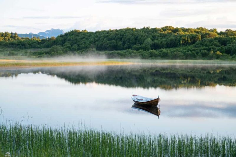 Lofoten: Half-Day Guided Tour with local guide Photo Stops - Introduction: Why This Tour Might Be Your Perfect Lofoten Experience