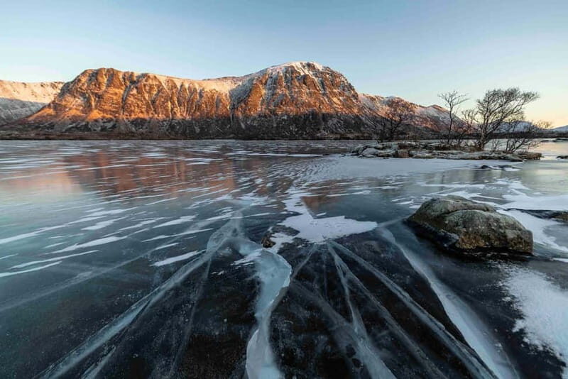 Lofoten: Half-Day Guided Tour with Photo Stops - Why This Tour Is Worth Considering
